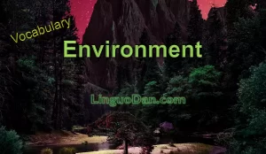 Environment Vocabulary Quiz