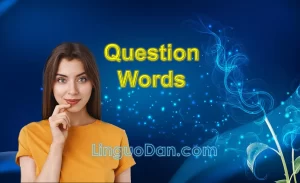 question words exercises