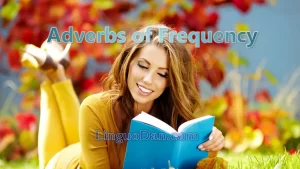 How to Teach Adverbs of Frequency in English