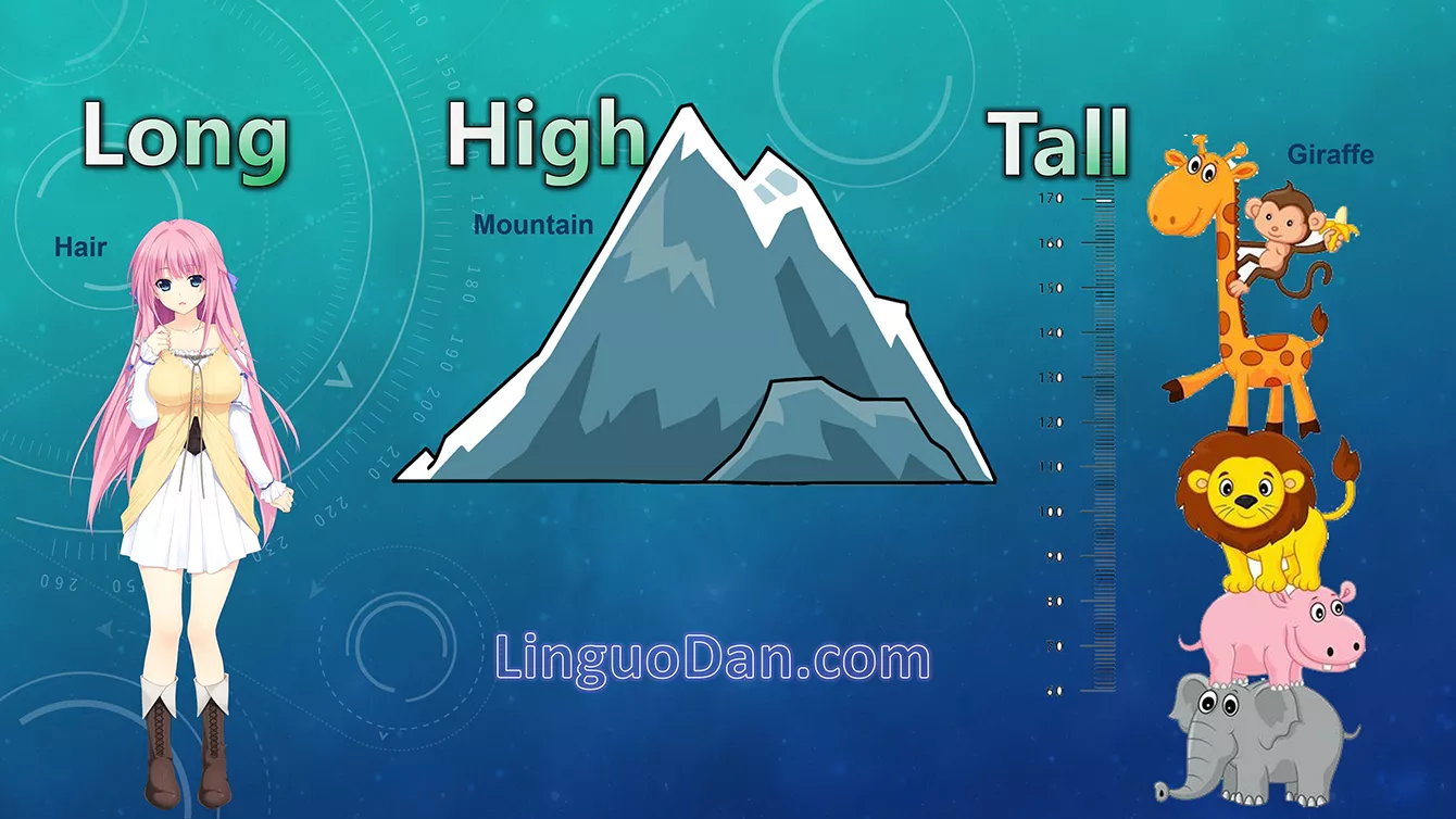 Differences between Long, Tall, and High in English - LinguoDan