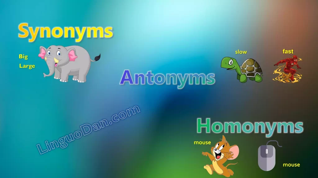 Homonyms, Synonyms, Antonyms List in English - English Grammar