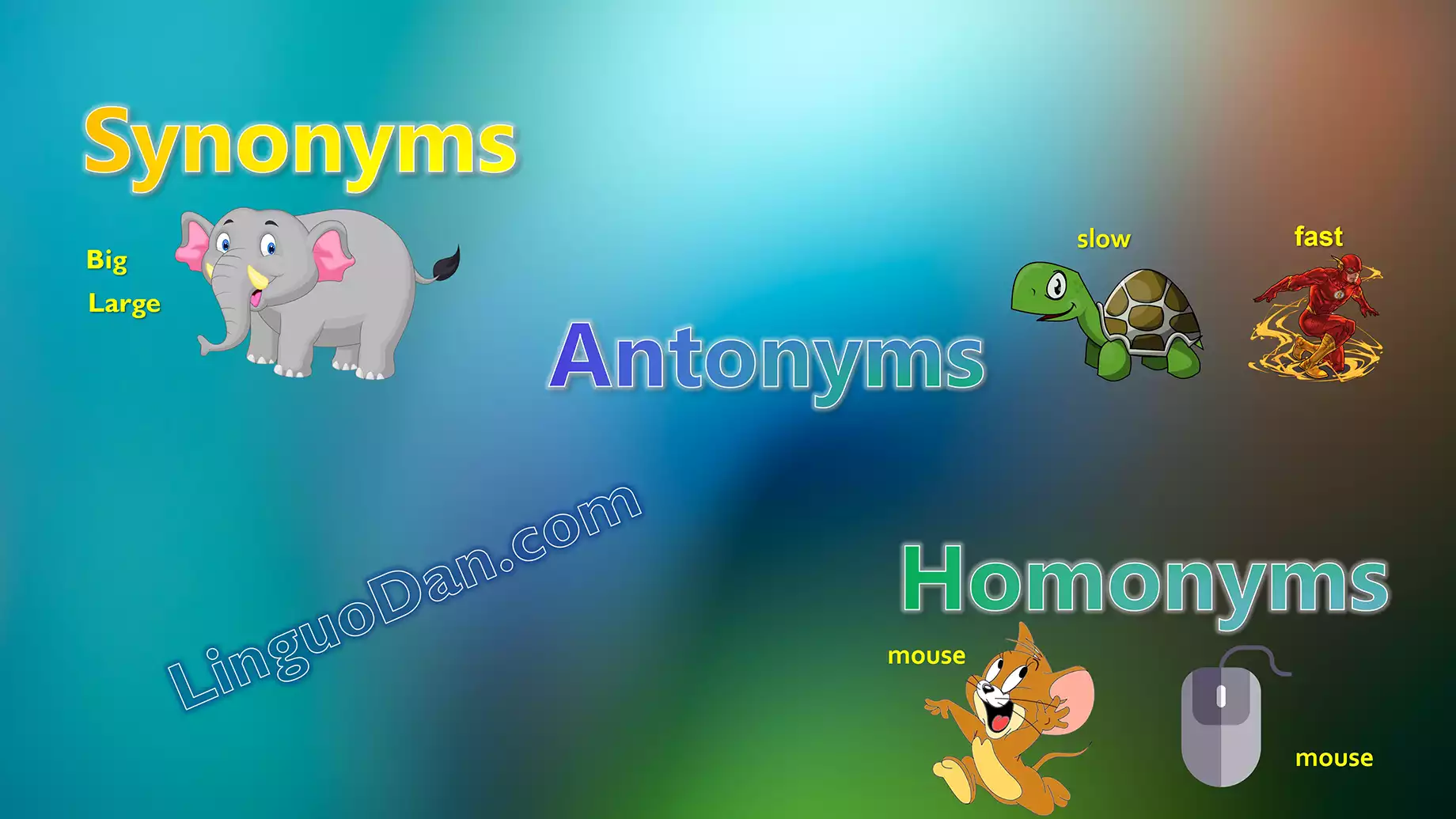 What Are Synonyms, Antonyms, and Homonyms? - LinguoDan