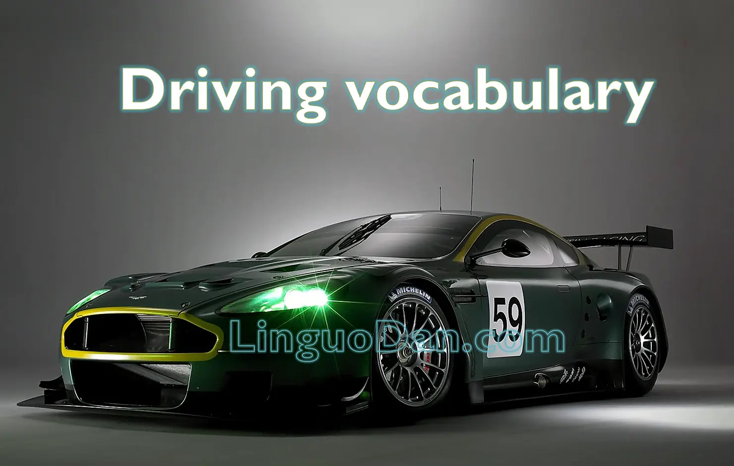 Driving vocabulary: Expanding the boundaries of communication - LinguoDan