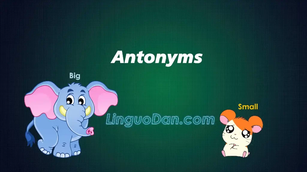 Antonyms Online Quiz