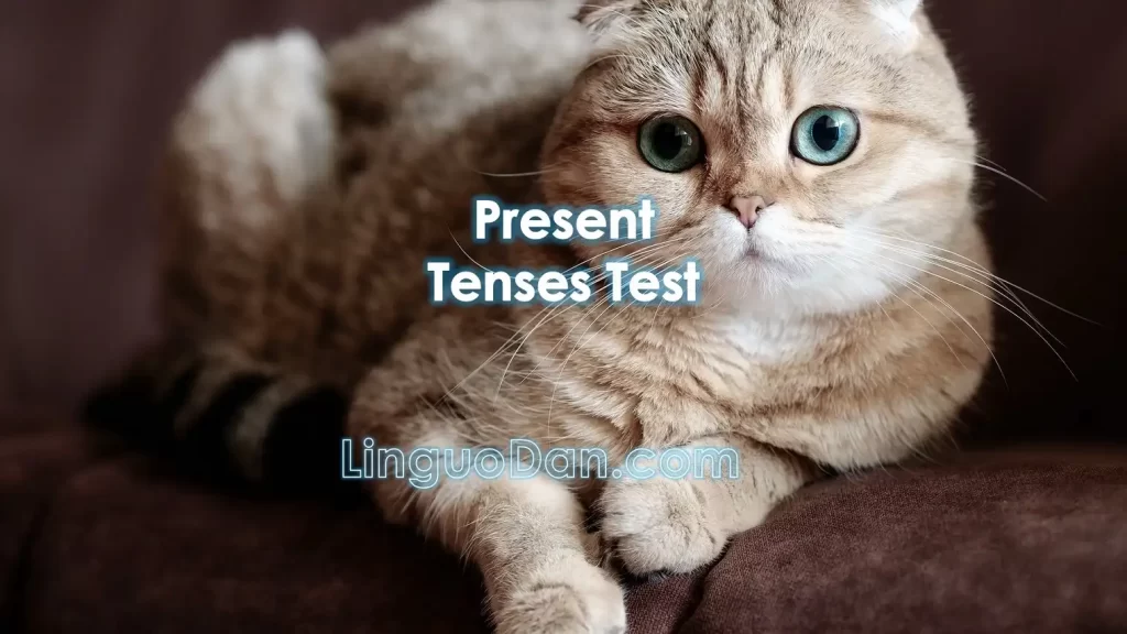 Review of all Present Tenses in practice