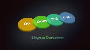 The difference between "do," "does," "did," "doing," and "done" in English