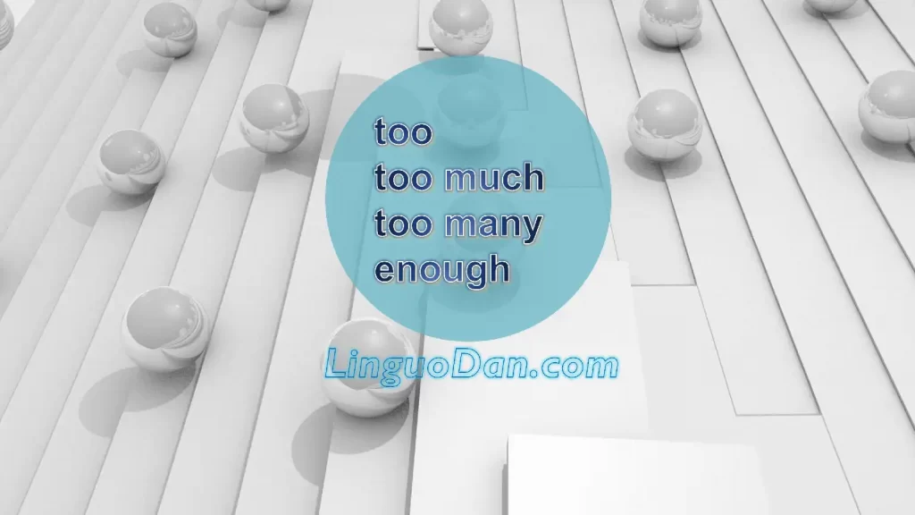 Quantifiers : Too / Too Much / Too Many / Enough