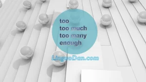 Quantifiers : Too / Too Much / Too Many / Enough