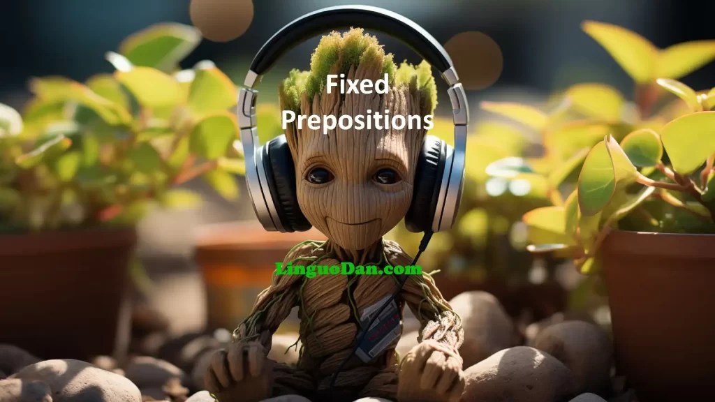 What are Fixed Prepositions?