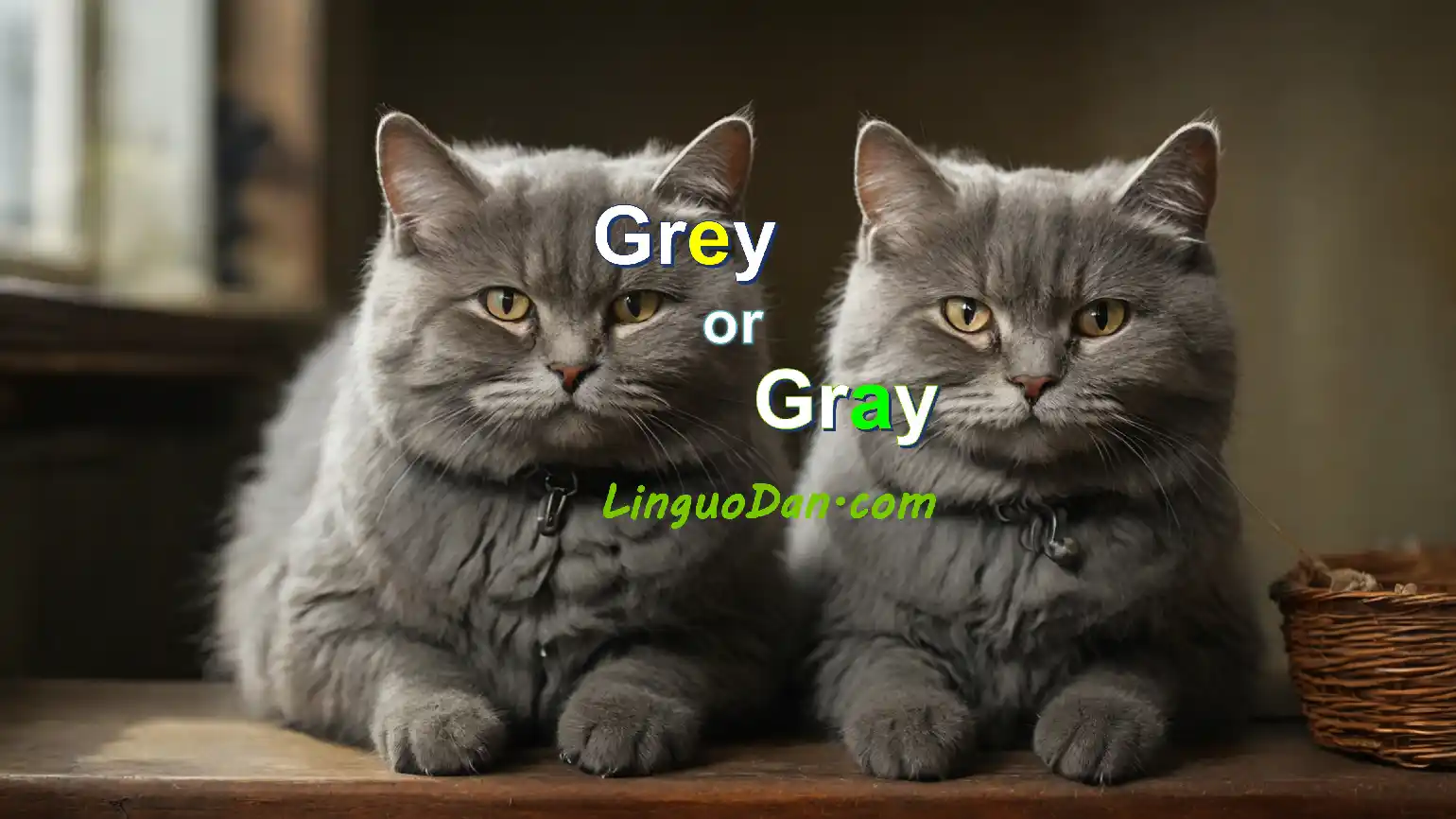 Gray or Grey - Are Both Correct?
