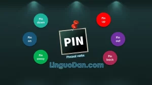 Pin-Up, pin-up 777, PHRASAL VERB PIN