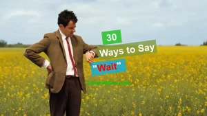 Best Ways to Express "Wait" in English