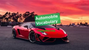 Navigating the Car Vocabulary in English