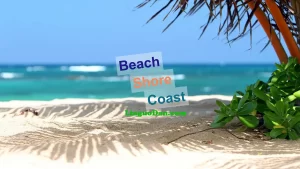 What is the difference between beach, shore and coast?