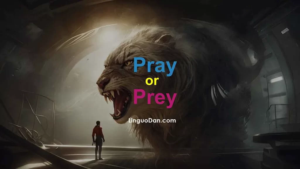 Pray and Prey | Meaning, Examples & Difference