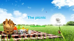 Going on a picnic, how to tell in English