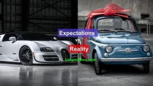 Difference between "Expectations" and "Reality" in English