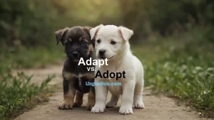 Adapt vs Adopt - What is the difference?