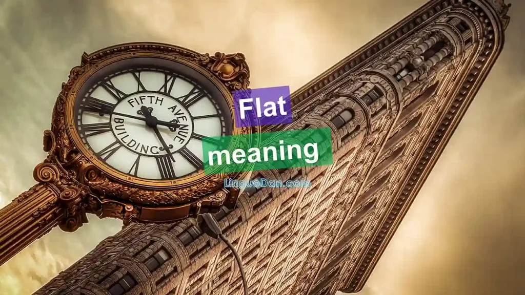 What does "Flat" mean in English: All possible meanings