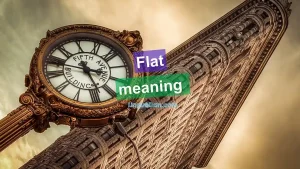 What does "Flat" mean in English: All possible meanings