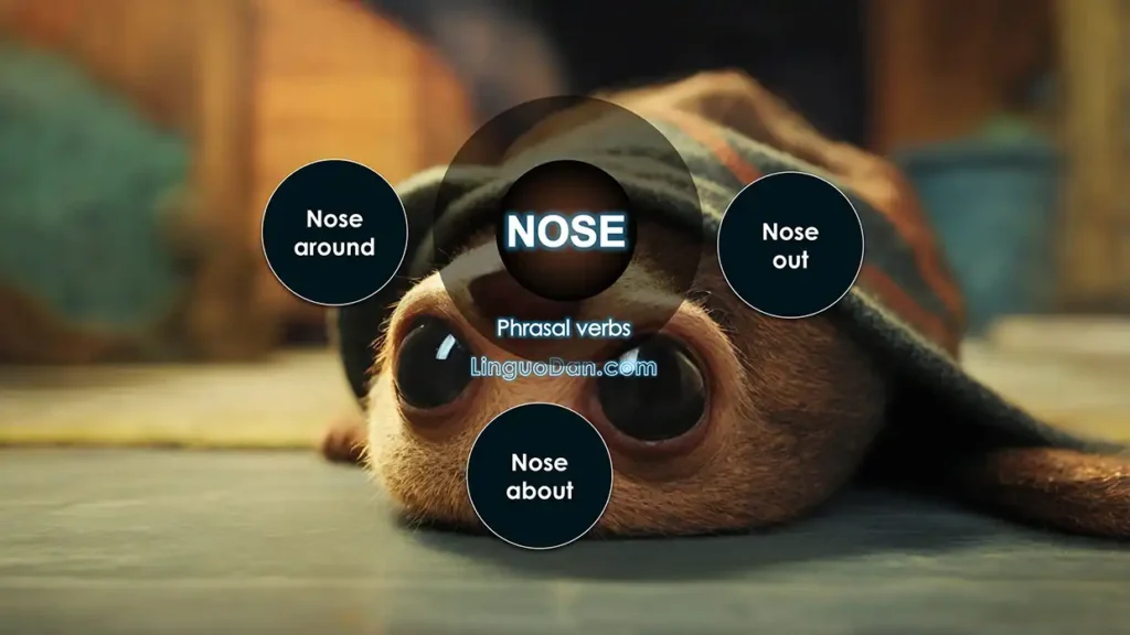 How the word "Nose" is used in English