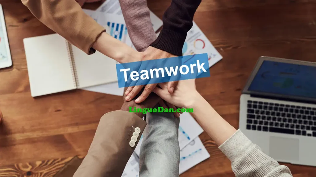 Teamwork - new words, phrases and exercise