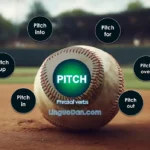 pitch in phrasal verb