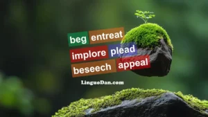 "beg, plead, entreat, implore, beseech, appeal" What is the different and when to use