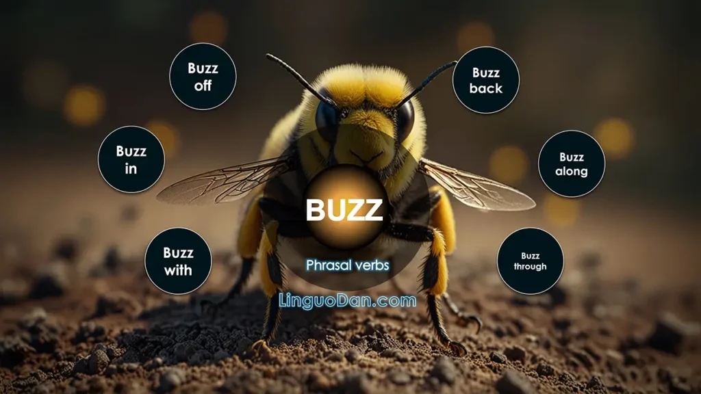 buzz - phrasal verb