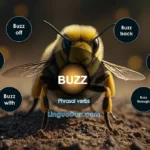 buzz - phrasal verb