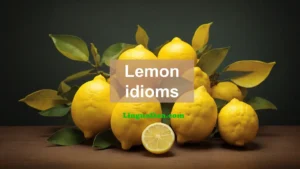 lemon idioms and phrases