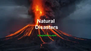 Natural disasters, their types and consequences, the impact of weather on health and mood